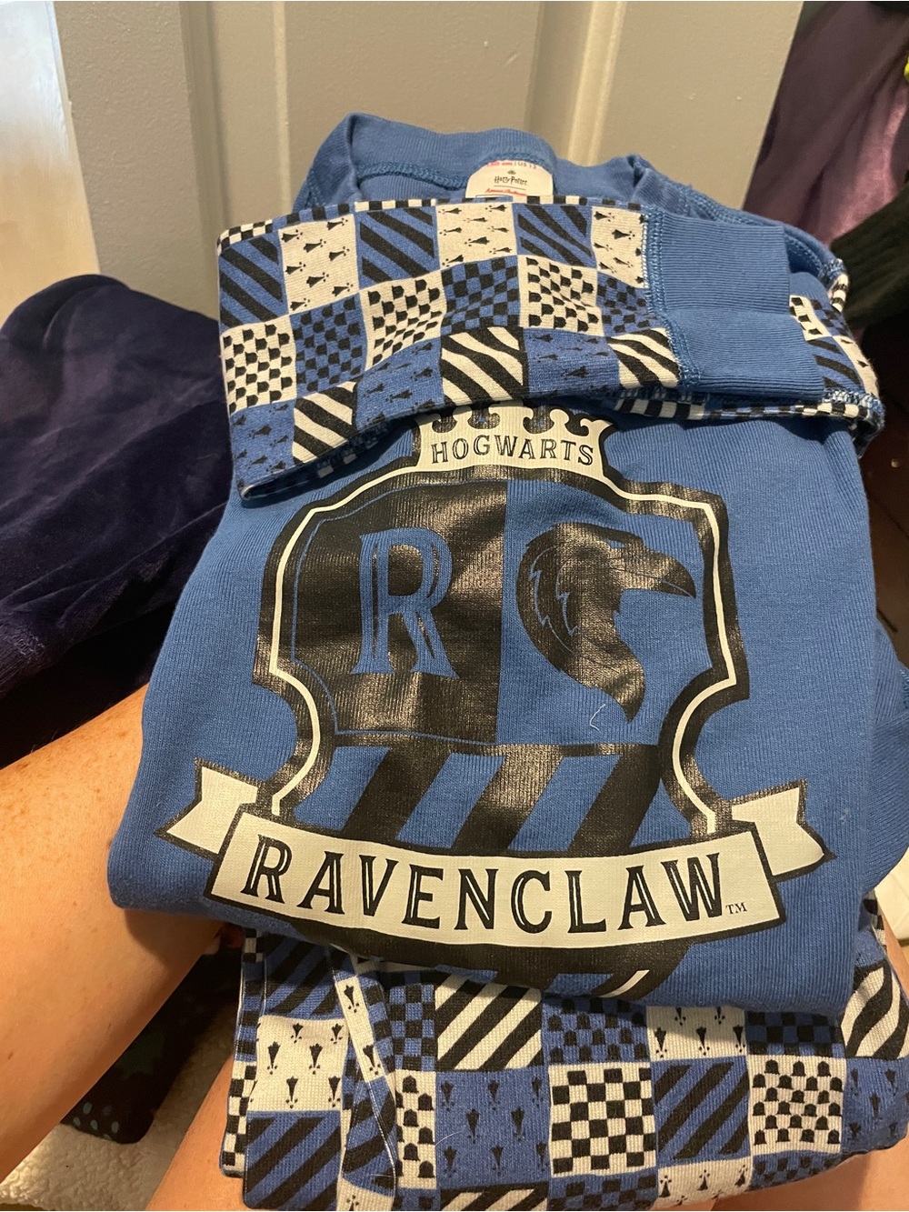 Warner Bros. Harry Potter Blue and Black Ravenclaw Patterned Pajama Set